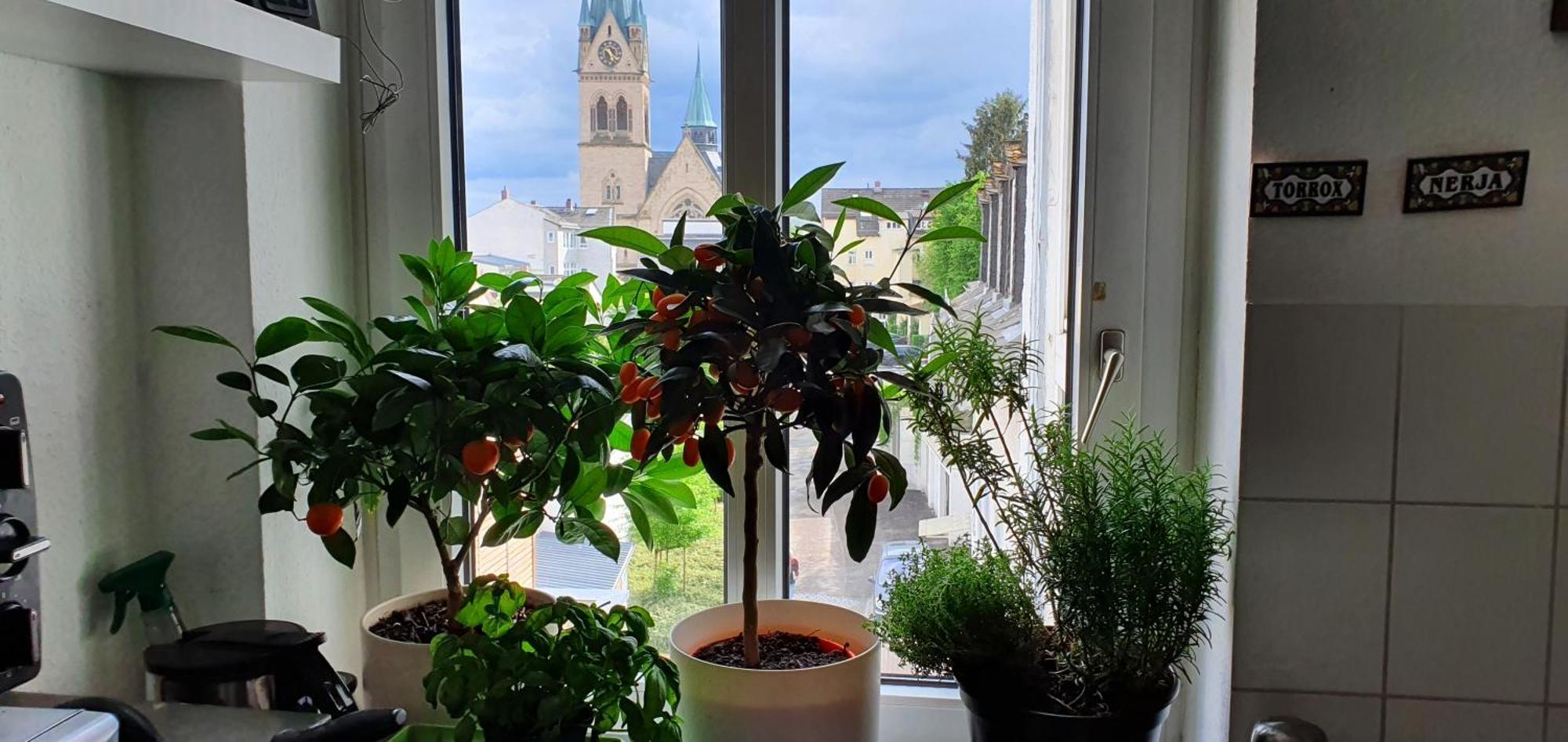 Von Privat, Grosses Zimmer Sehr Zentral In Bad Homburg Stadtmitte Bad Homburg vor der Höhe Exteriér fotografie
